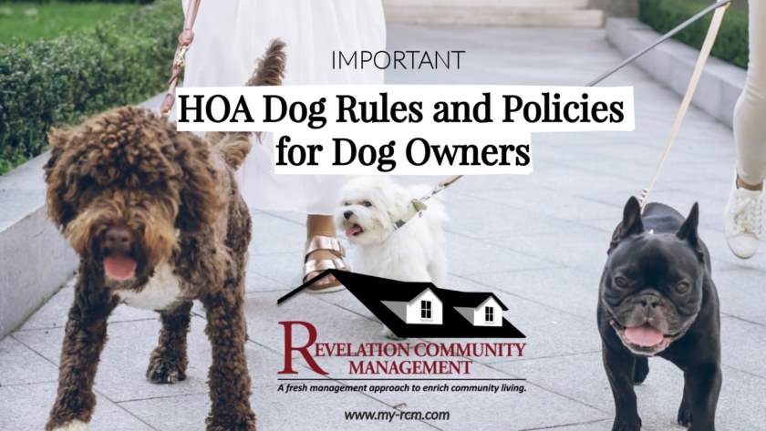 Important HOA Dog Rules and Policies for Dog Owners